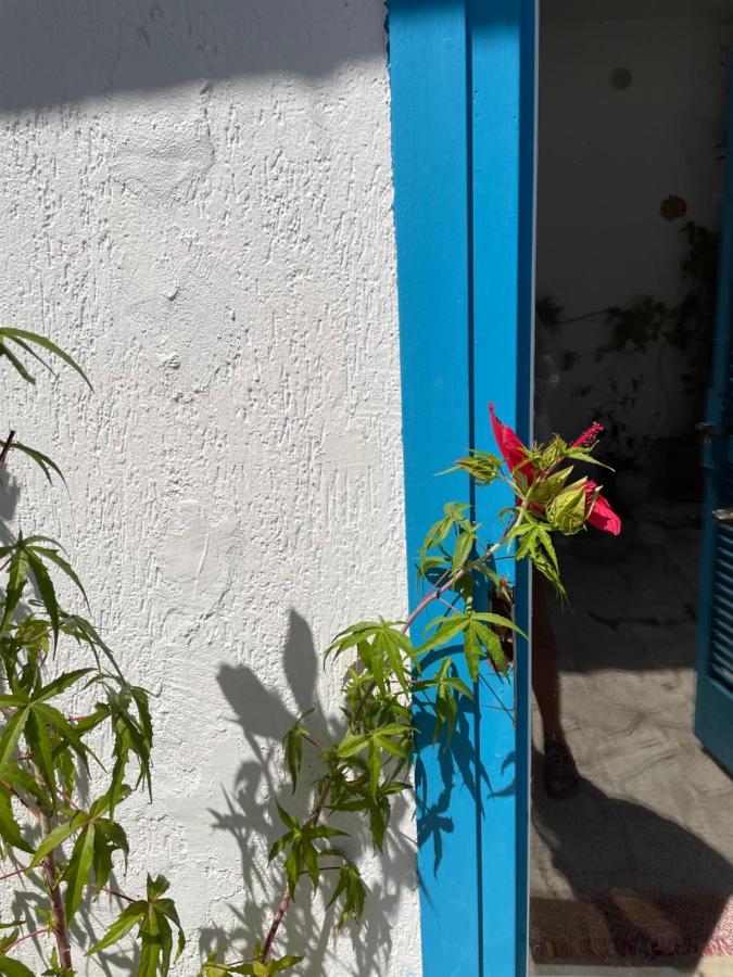 דירות טאראנטו Il Cortiletto מראה חיצוני תמונה